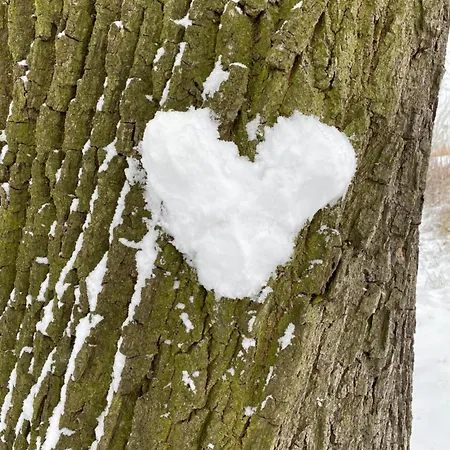 Seeurlaub Haus Antonia Ferch