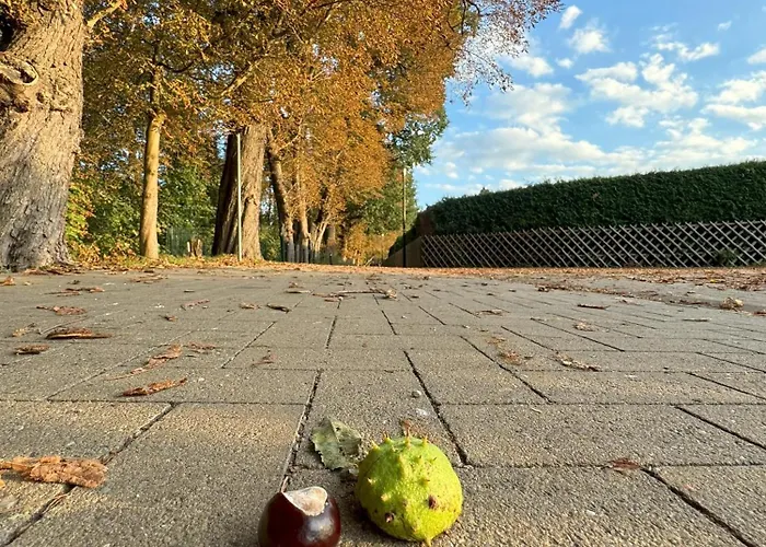 Seeurlaub Haus Antonia Lägenhet