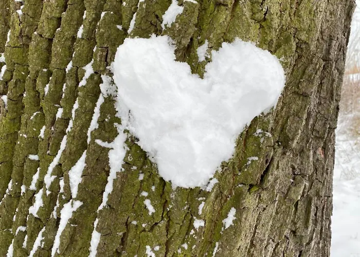 Seeurlaub Haus Antonia Ferch